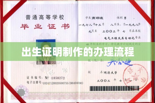巴音郭楞蒙古出生证明制作的办理流程